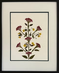 Celosia Flowers image 0