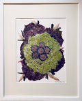 Hydrangea 2 image 0