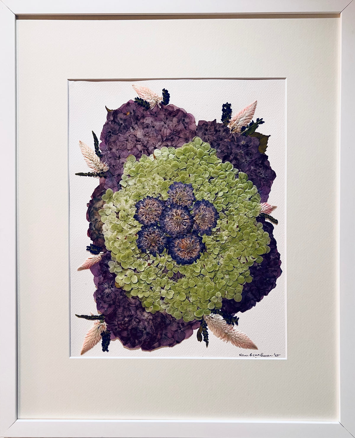 Hydrangea 2 image 0