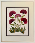 Wild Claret