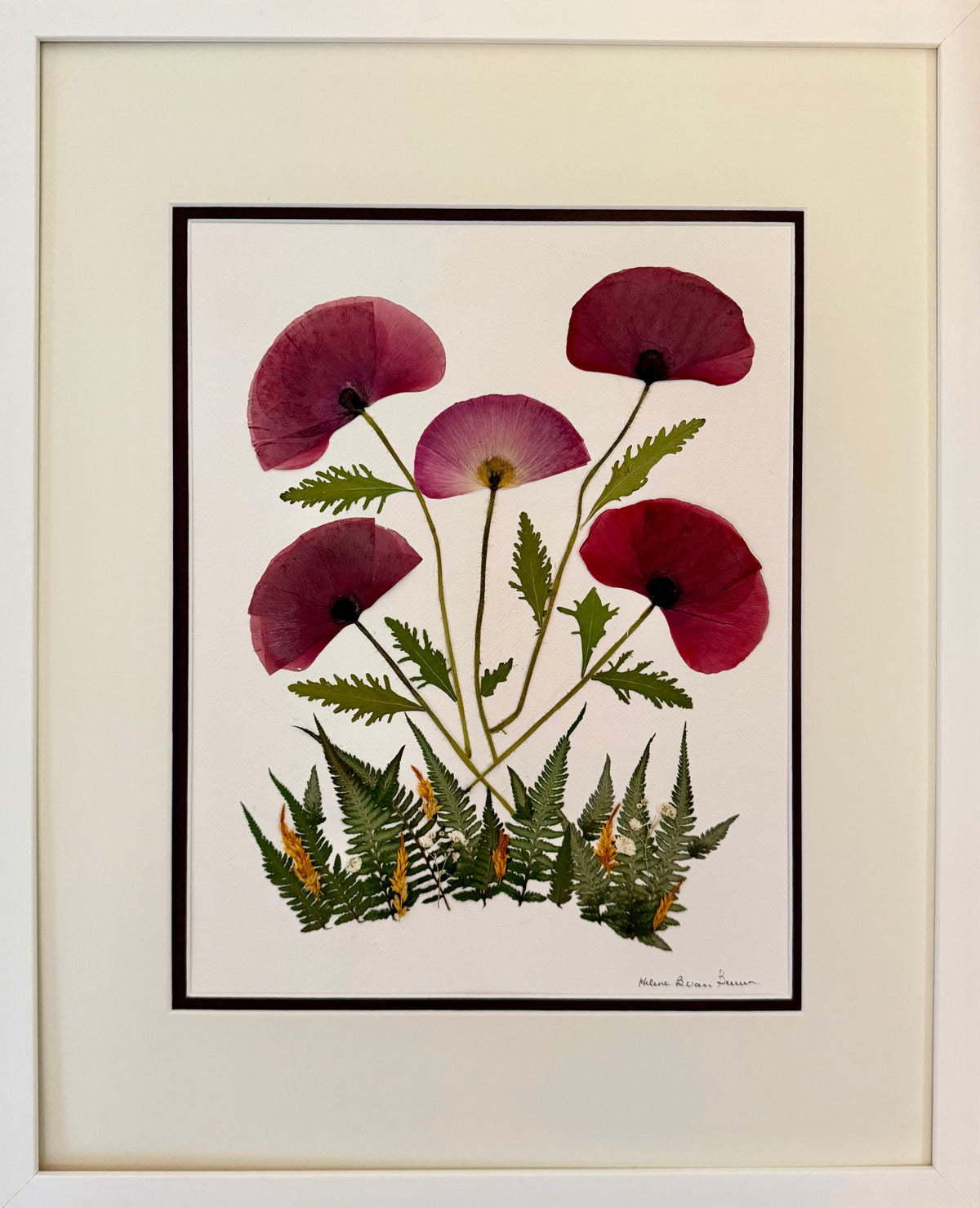 Wild Claret