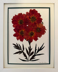 Ember Cosmos