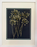 Tall Stems image 0