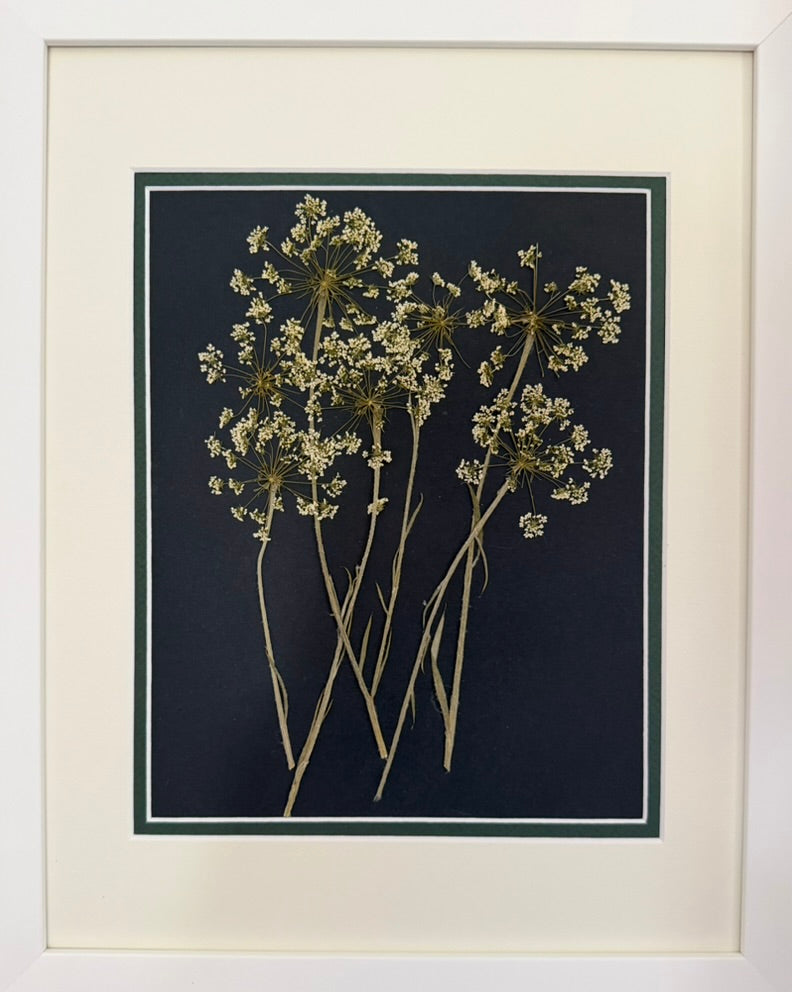 Tall Stems image 0