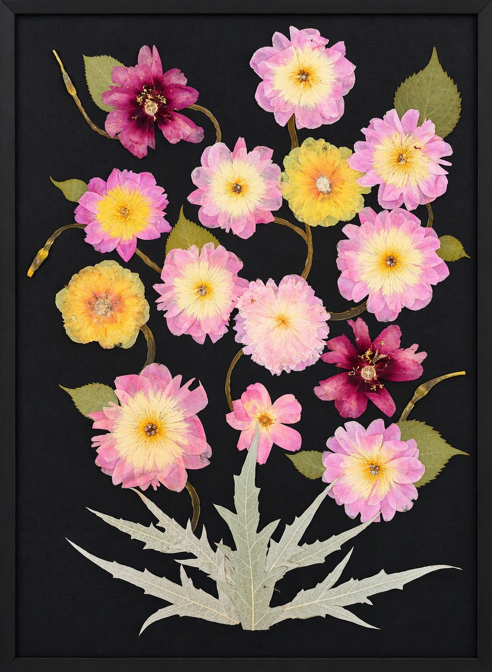 Peony Parade II