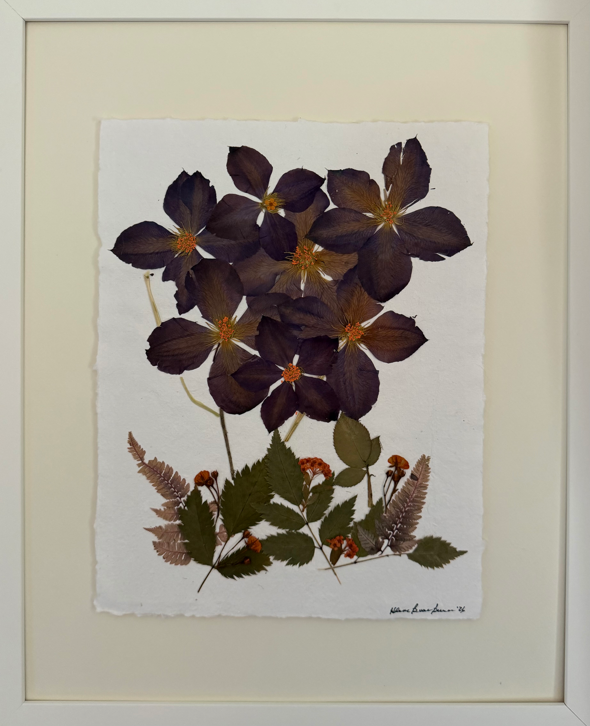 Twilight Clematis image 0