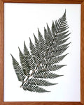 Simply Fern 2 image 0