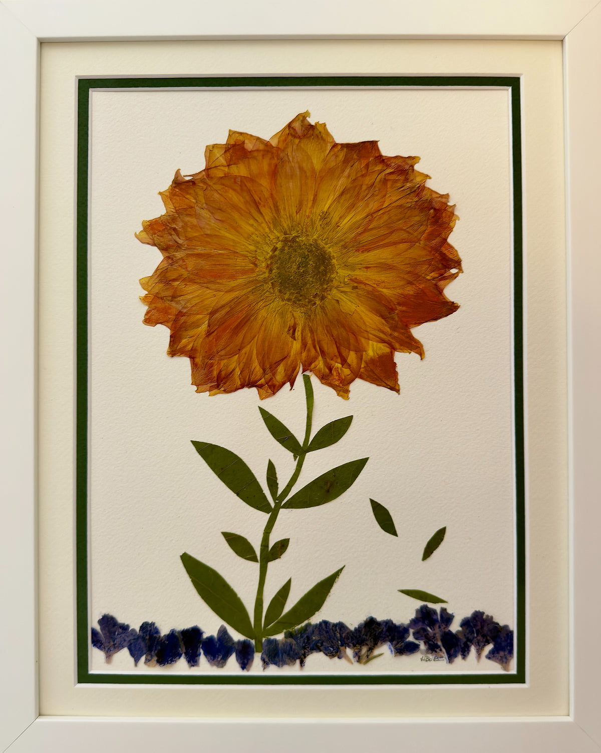 Amber Zinnia in Autumn Light image 0
