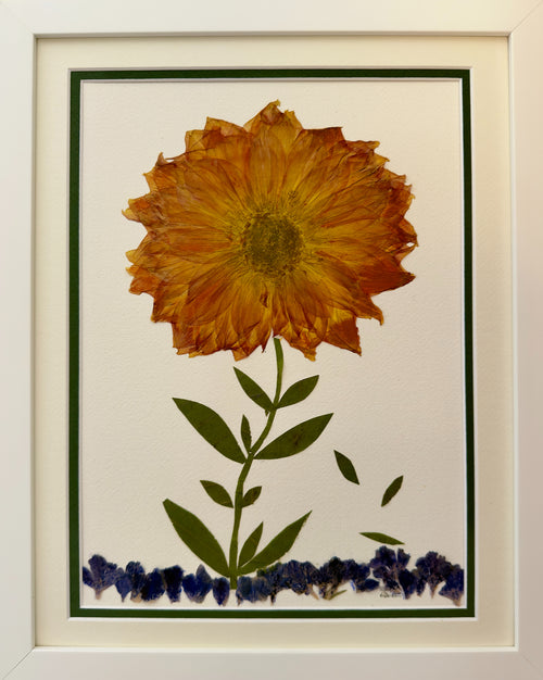 Amber Zinnia in Autumn Light image 0