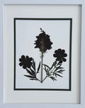 Maroon Snapdragon image 0