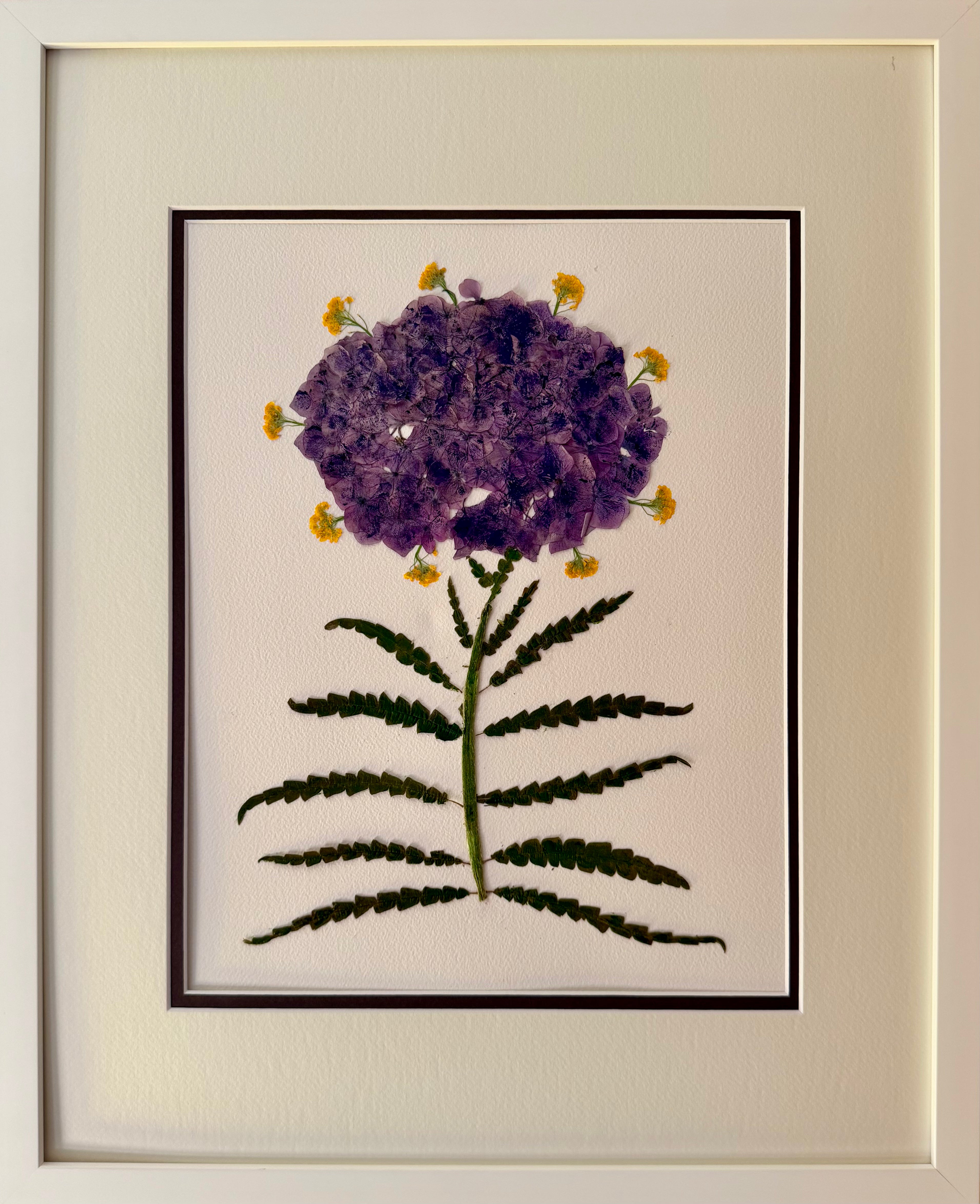 Purple Hydrangea on Fern
