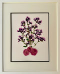 Purple Toadflax Spray