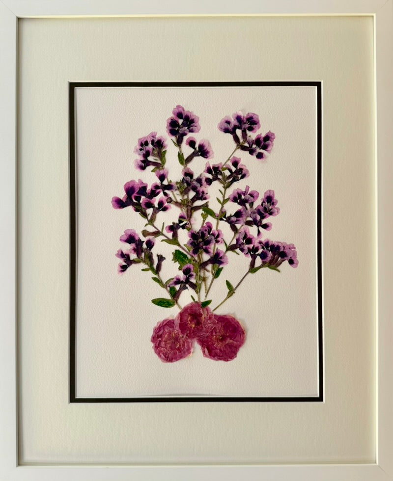 Purple Toadflax Spray