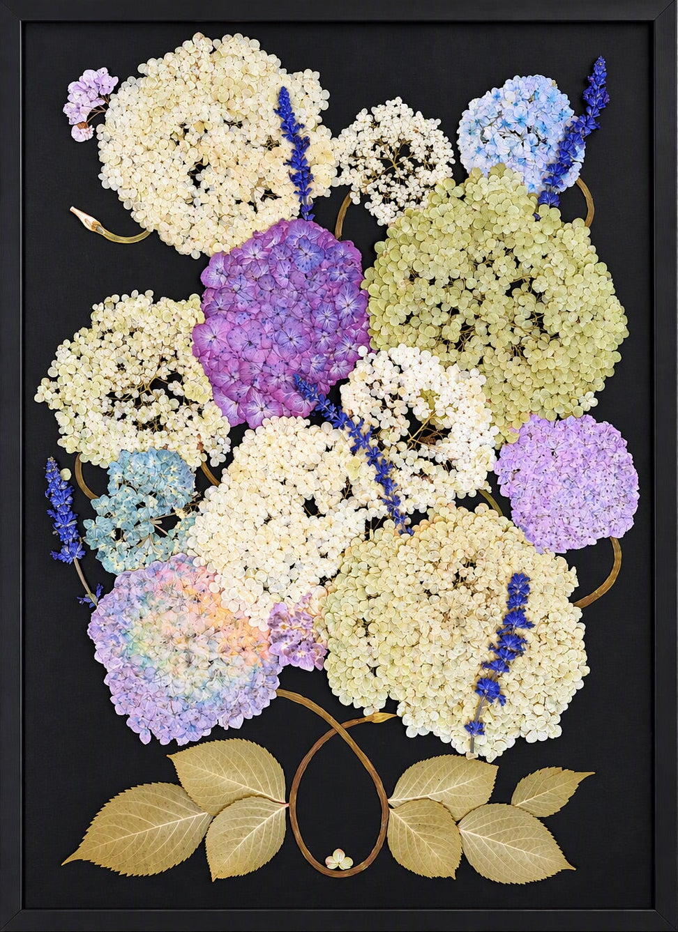 Moonlit Hydrangea II