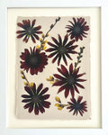 Burgundy Rudbeckia image 0