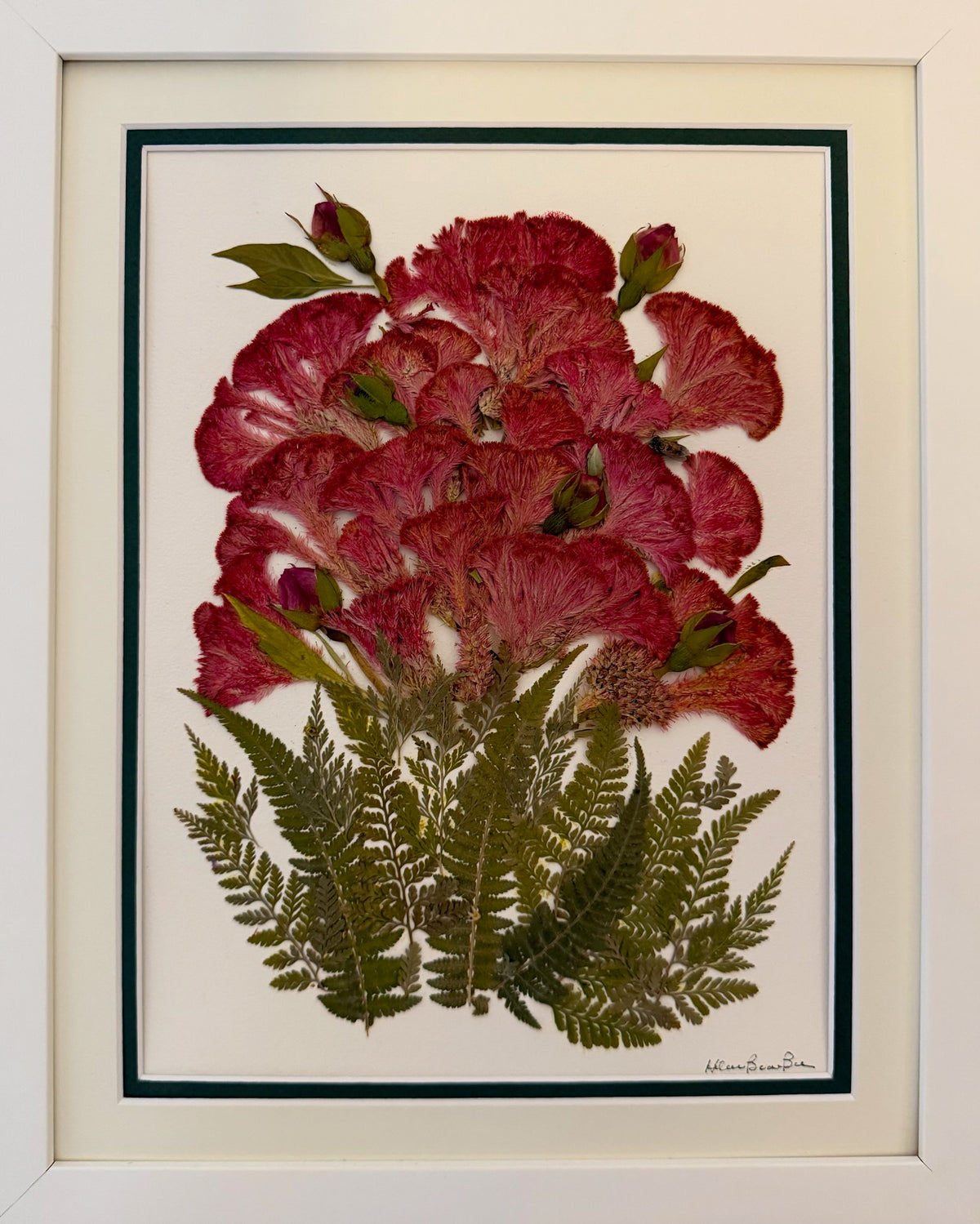 Velvet & Fern