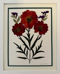 Cosmos Trio