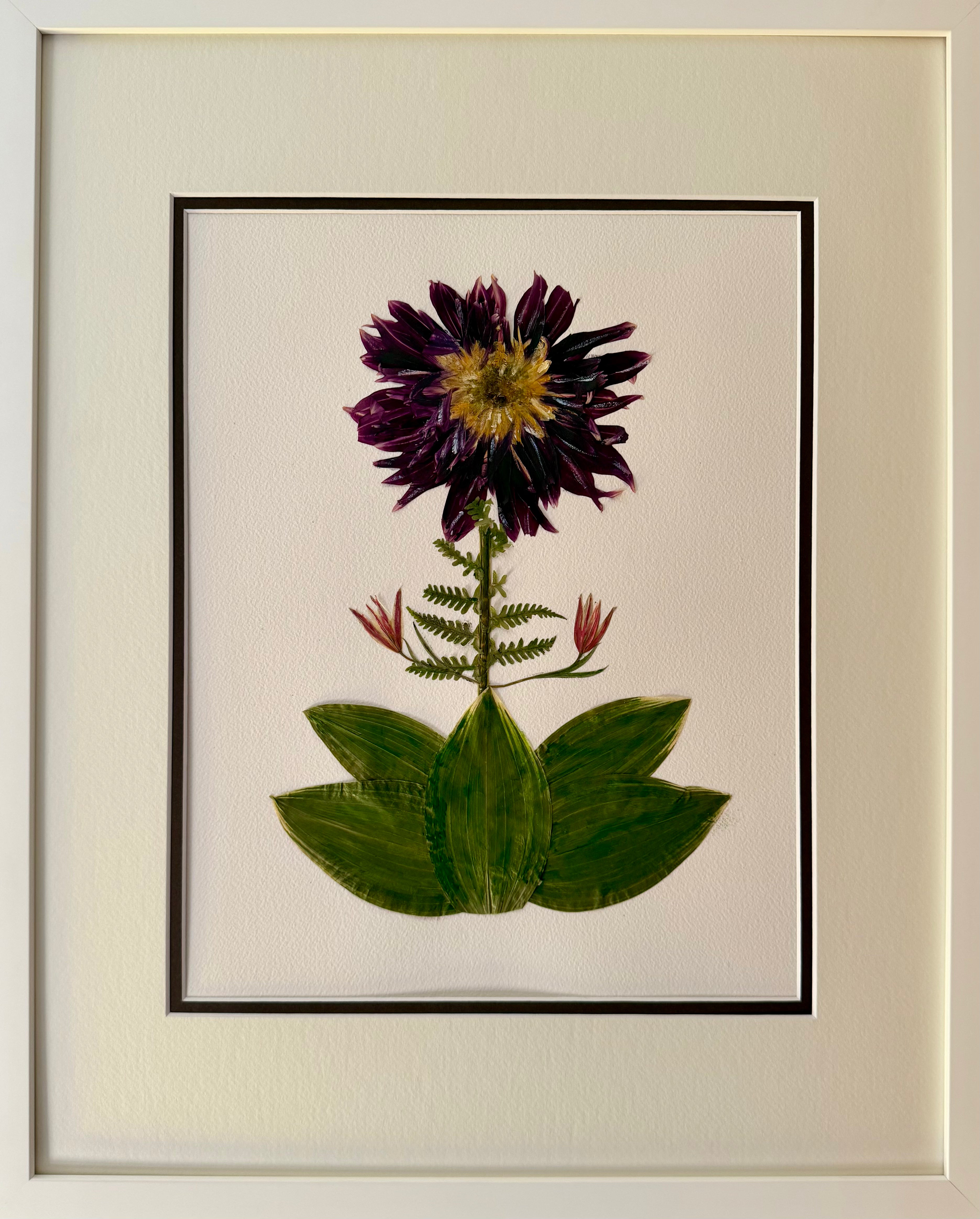 Dark Cactus Dahlia