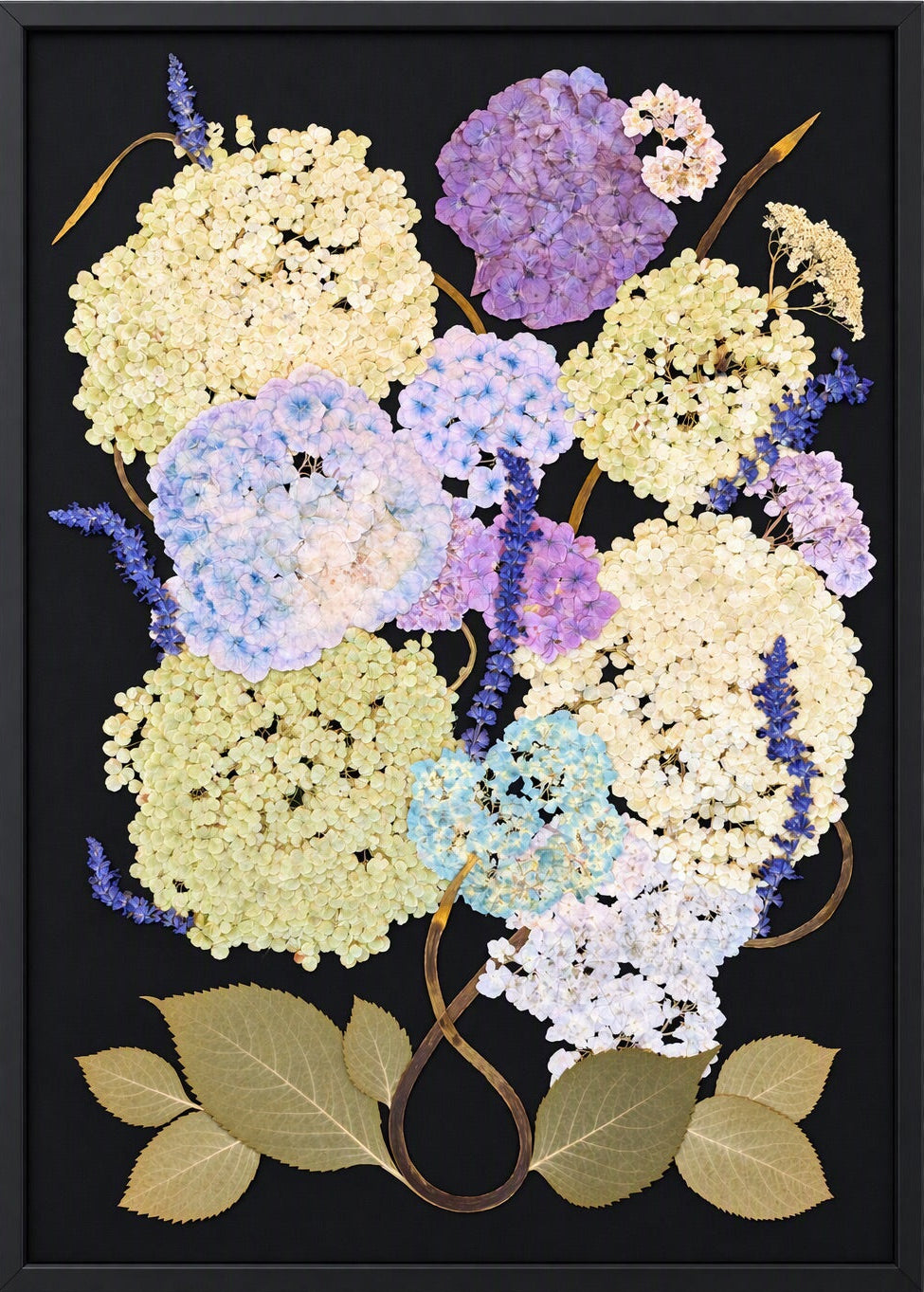 Moonlit Hydrangea I