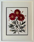 Red Gerbera Trio