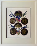 Allium Constellation