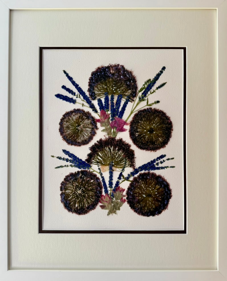 Allium Constellation