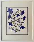 Blue Campanula Branch