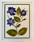 Blue Scabiosa Trio with Mimosa