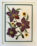 Purple Clematis & Golden Coreopsis
