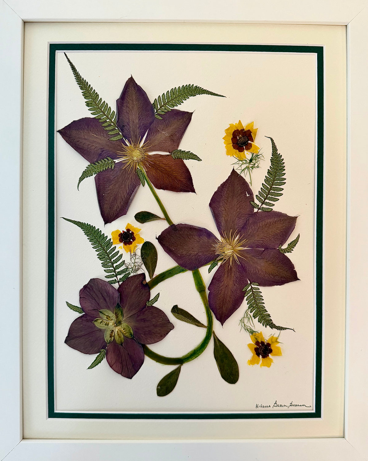 Purple Clematis & Golden Coreopsis