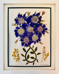 Scabiosa Bouquet