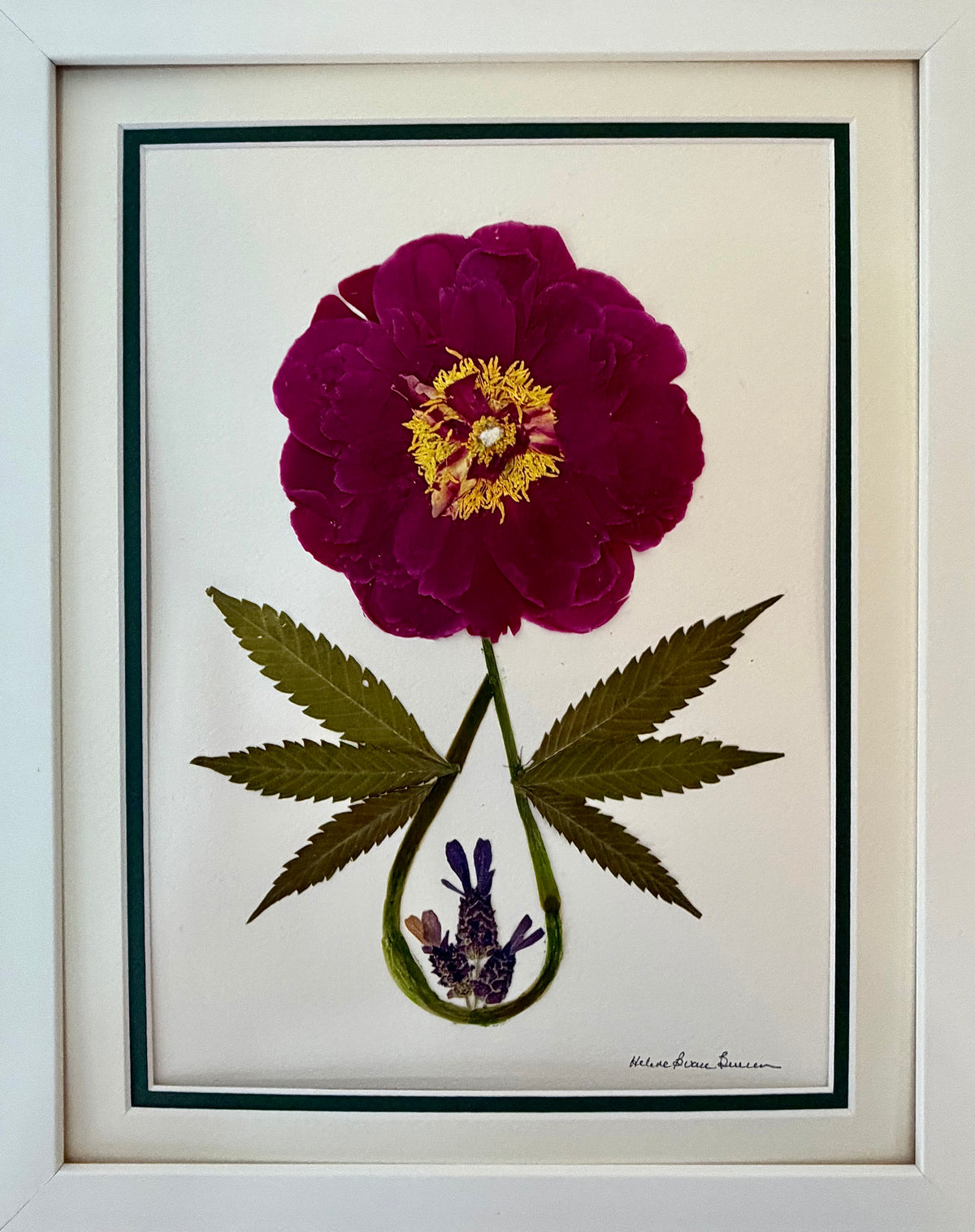 Magenta Peony with Lupine Leaf