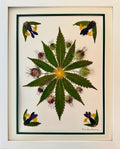 Weeds