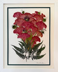 Celosia Bouquet with Fern