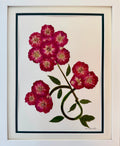 Wild Rose Branch