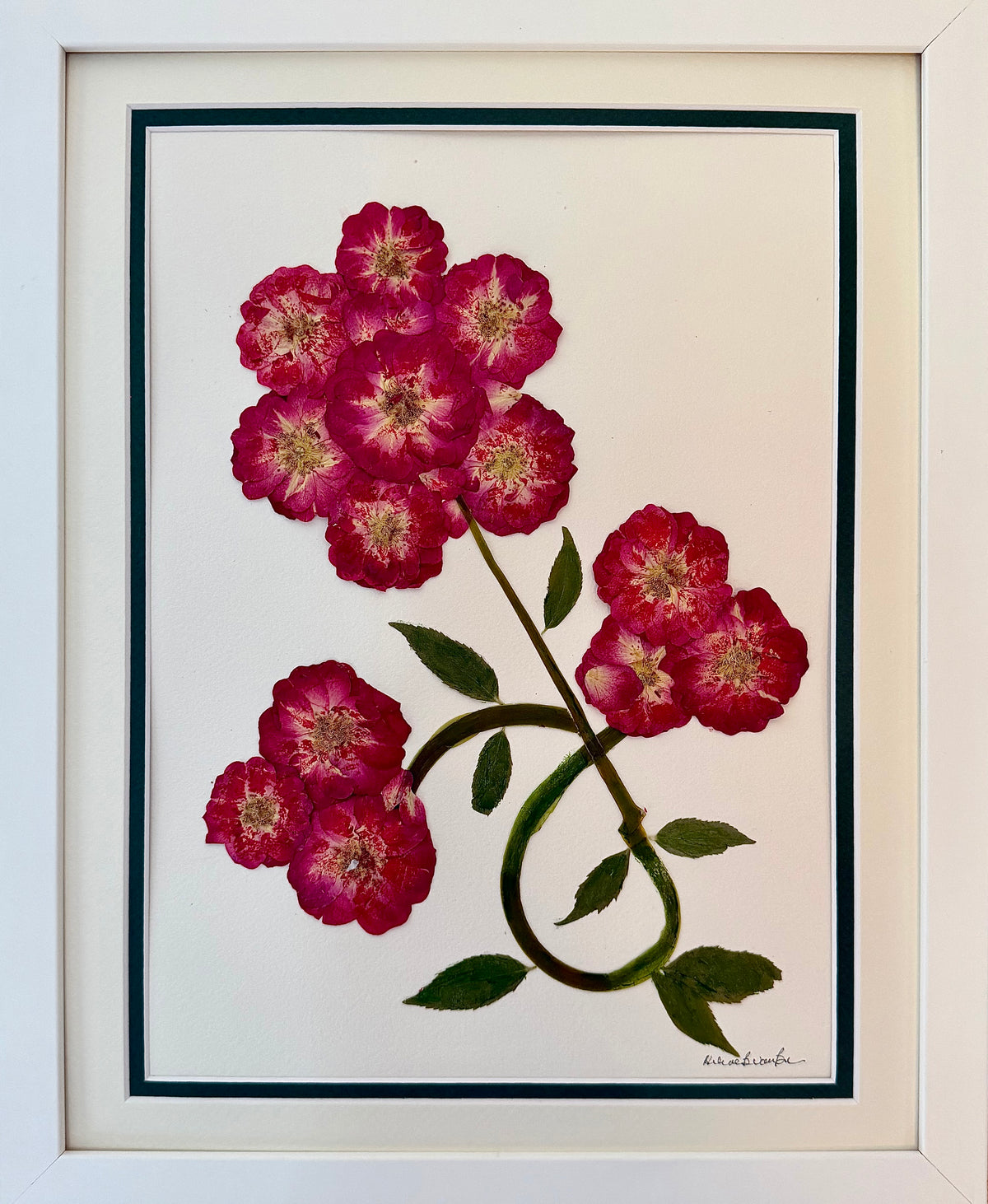 Wild Rose Branch