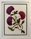 Wine Poppy Branch