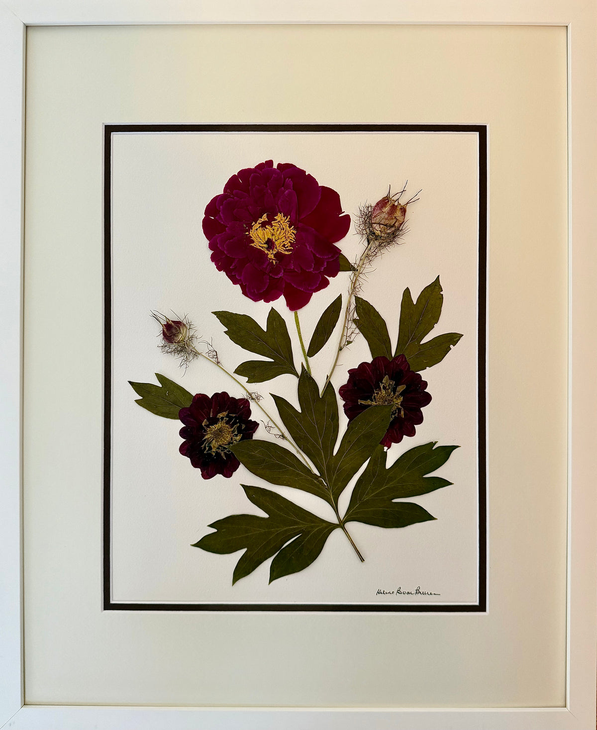 Crimson Peony 2