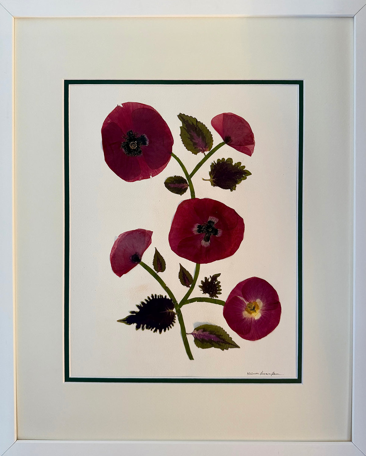 Poppies in Wine & Onyx