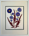 Cornflower & China Aster with Burgundy Amaranth