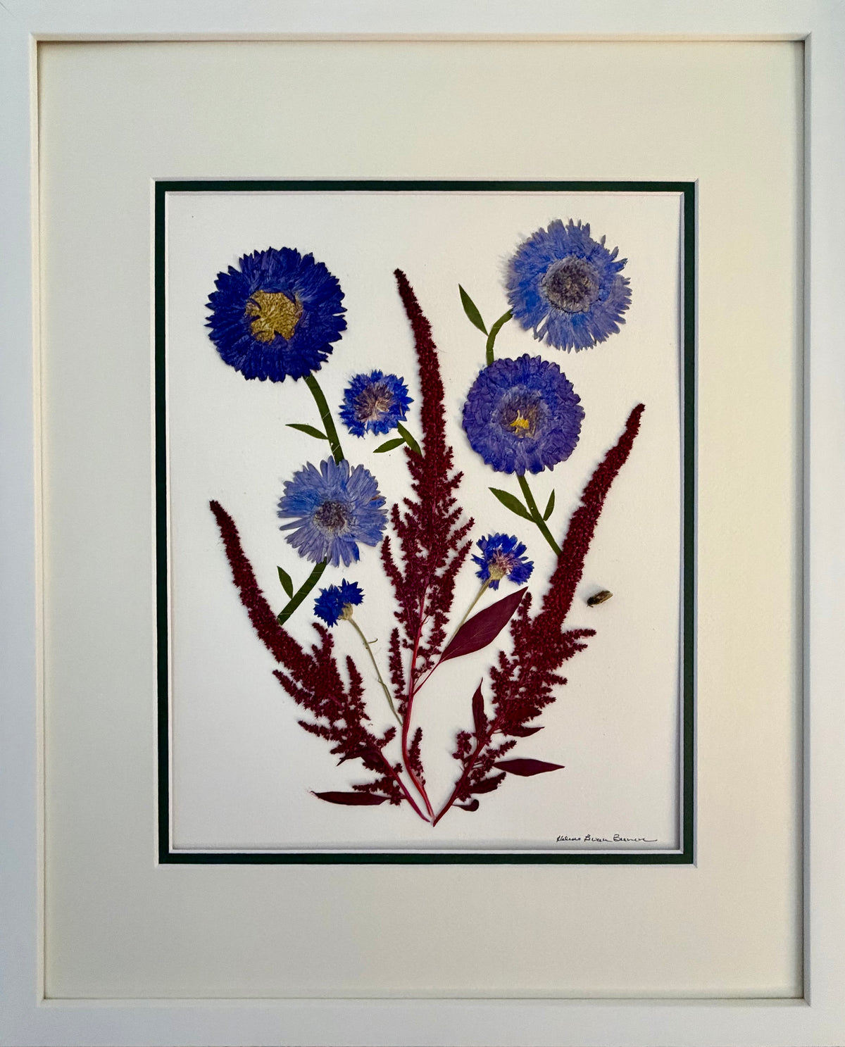 Cornflower & China Aster with Burgundy Amaranth