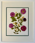 China Aster & Mimosa