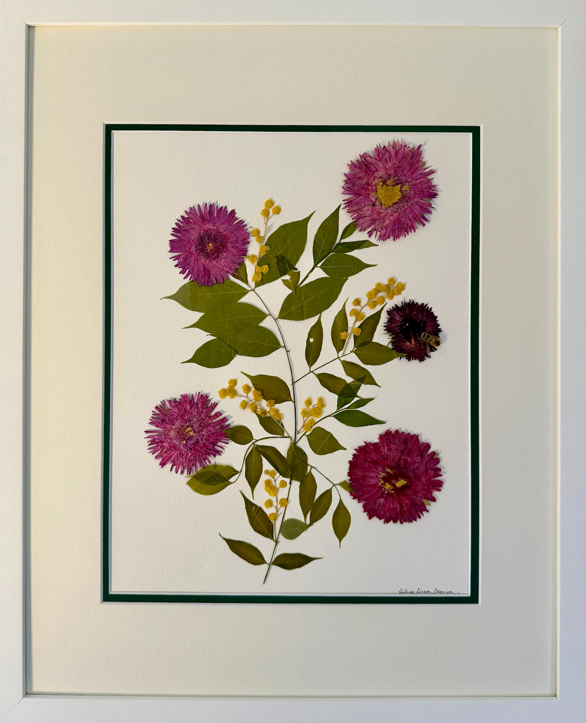 China Aster & Mimosa