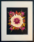 Peony & Celosia Sunburst