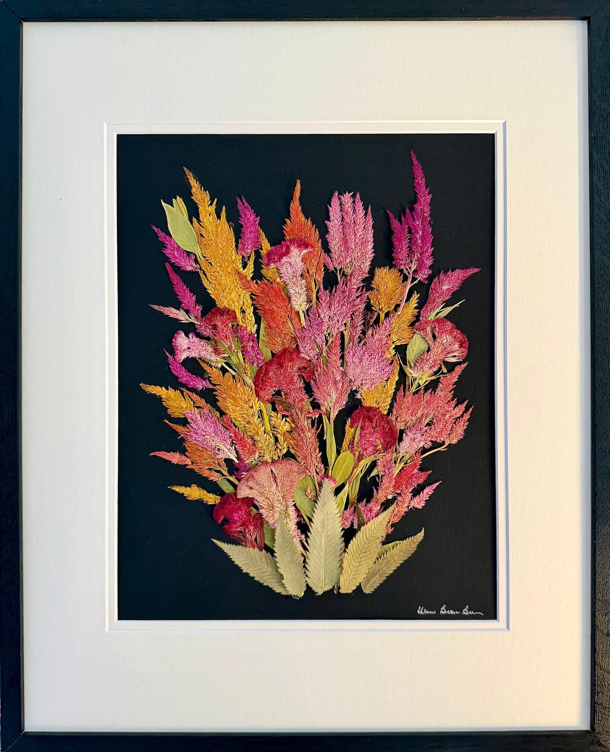 Rainbow Plumed Celosia