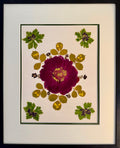 Wine Rose Mandala