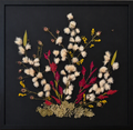 Islandic Grass, Celosia & Mimosa on Queen Anne's Lace