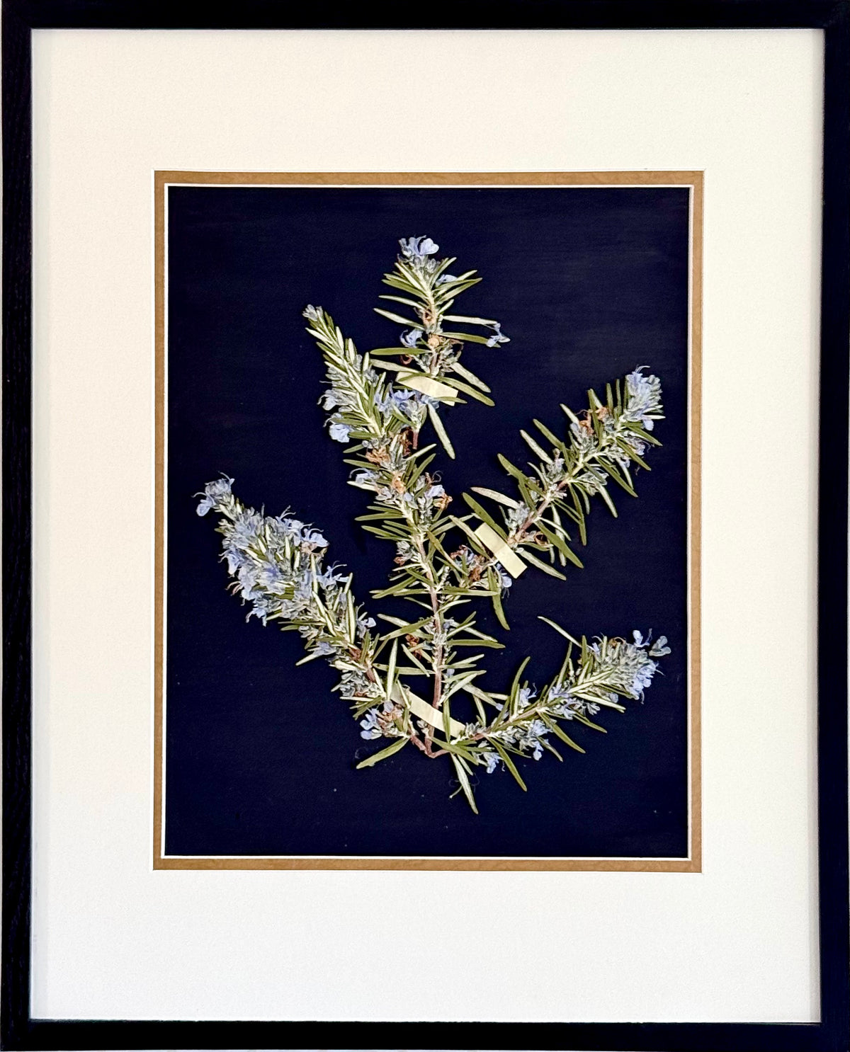 Rosemary Spring image 0
