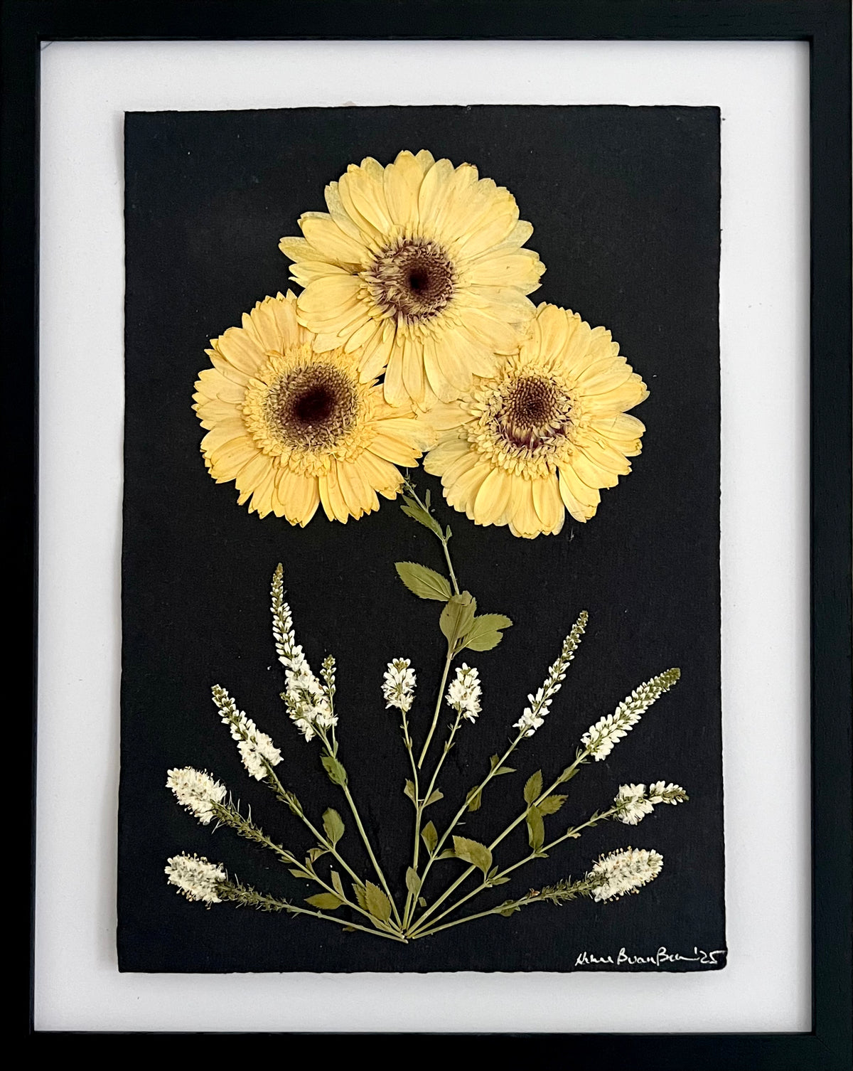 Yellow Daisys image 0