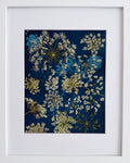 Mixed Media - Queen Anne's Lace image 0